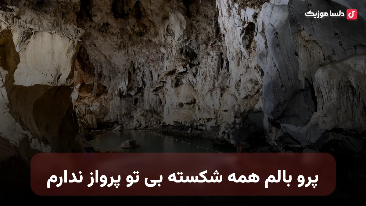 پرو بالم همه شکسته بی تو پرواز ندارم صدای زن